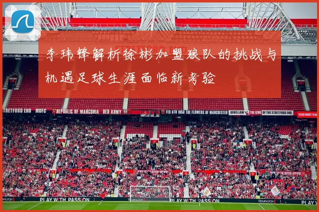李玮锋解析徐彬加盟狼队的挑战与机遇足球生涯面临新考验