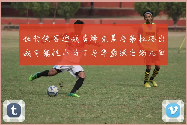 独行侠客迎战黄蜂克莱与弗拉格出战可能性小马丁与华盛顿出场几率高